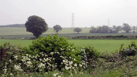Windy Day In Gloucestershire Field Stock Footage 90307358