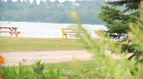 Windy day at the lake Stock Footage 55810677