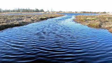 Windy day by the lake Stock Footage 76226018