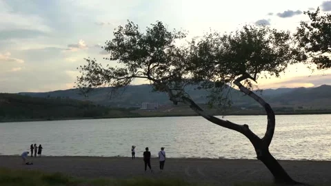 Windy Day At The Lake Stock Footage 134053051