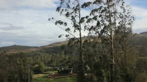 Windy day in the mountains Stock Footage 237527655