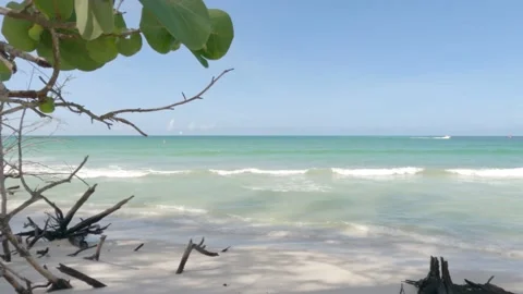 Windy day at Naples beach Stock Footage 140983290