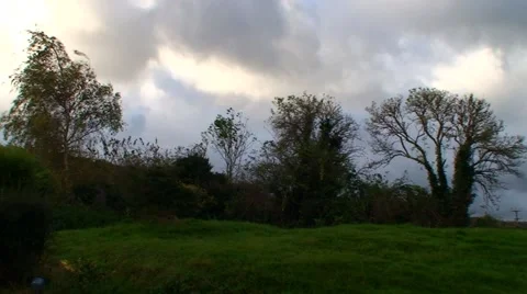 Windy Day no 1 Trees and Clouds move in the Autumn Wind Stock Footage 42945424