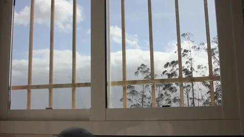 Windy day outside in the mountains Stock Footage 241441103