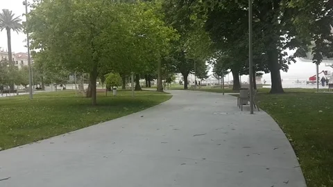 Windy day in the park Stock Footage 171814588