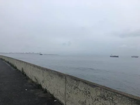 Windy day 库存照片