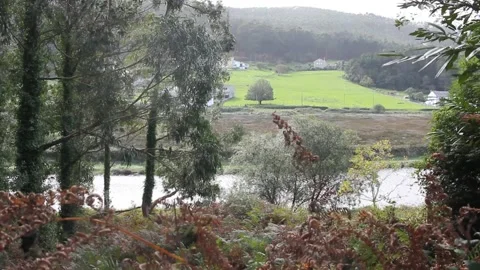 A windy day in the river Ouro Stock Footage 234593487