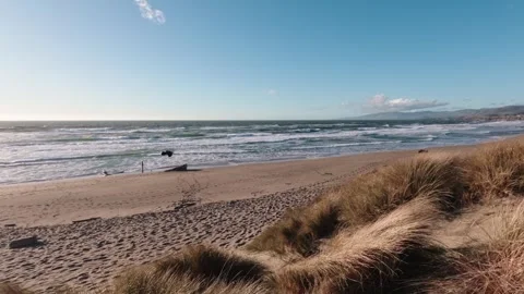 Windy day on Sonoma Coast featuring with a crow flying past a distant shipwreck Video stock 336165206