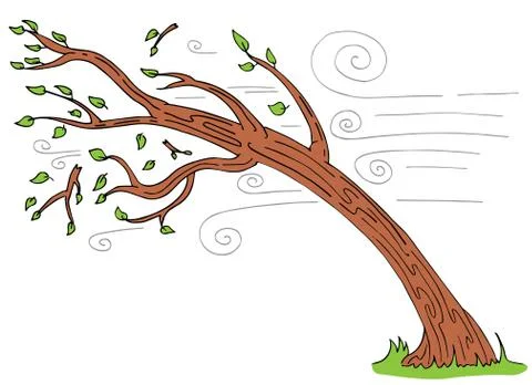 Windy Day Tree Bending Broken Branches Stock Illustration