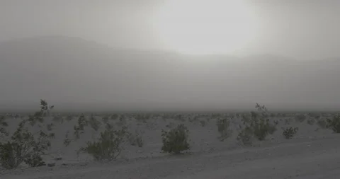 Windy Desert Video stock 168212396