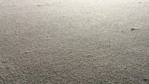 Windy deserted beach Video stock 236258703