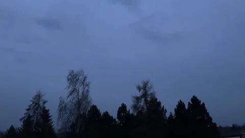 Windy Evening with Moving Tree Branches Stock Footage 304008968