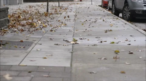Windy Fall Day Stock Footage 48142804