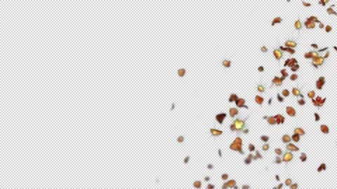 Windy Fall Leaves Flying Seamless Alpha Animation Stock-Footage 347052899