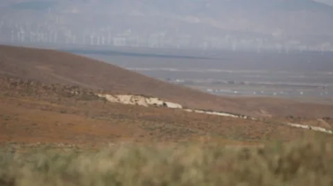 Windy Field 動画素材 48831766