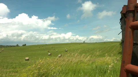 Windy Field Stock Footage 50192823