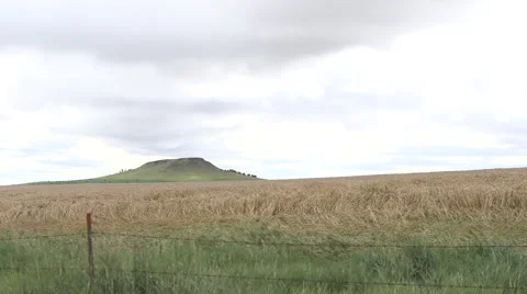 Windy Fields Stock Footage 44473272