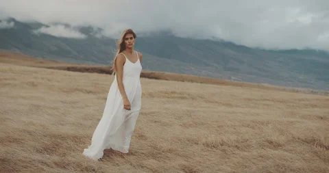 The windy Fields Stock Footage 134486245