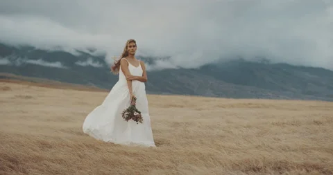 The windy Fields Stock Footage 134488306