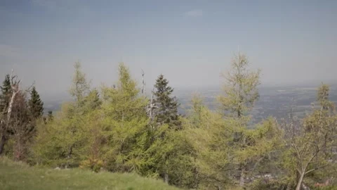 Windy forest on the hill 動画素材 274269338