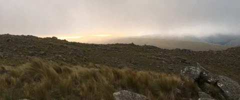 Windy grass in the mountain on a misty sunset Video stock 90632087