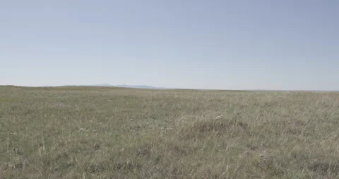 Windy grassland in summer, Oregon Stock Footage 332379019