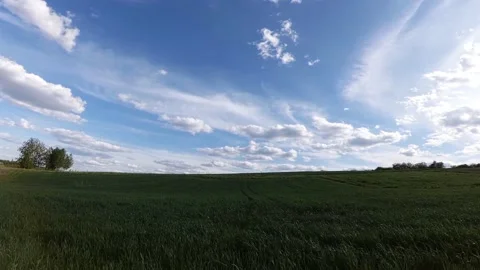 Windy Grasslands And Clouds Stockbeeldmateriaal 197180262