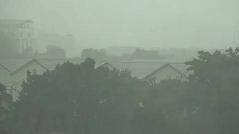 Windy heavy rain blow tree near housing roof with fog. Video stock 312147206