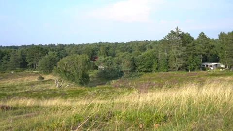 Windy hills and fields of grass Stock Footage 205869772