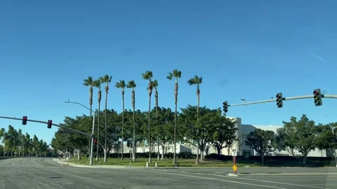 Windy Intersection Palm Trees Stock Footage 238748394