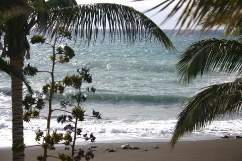 Windy island Stock Photos
