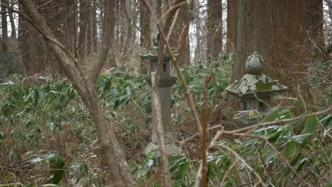 Windy Japanese Forest Stock Footage 130002919