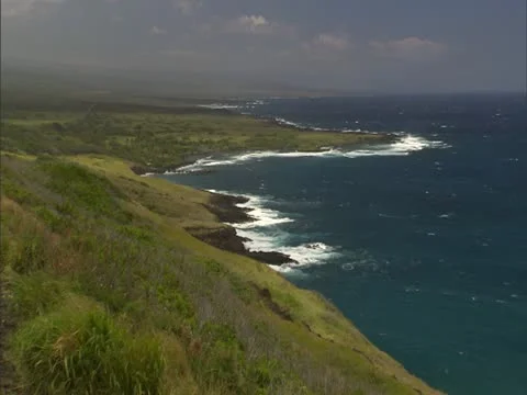 Windy Ka'u Coastline with Grass Video stock 22243154