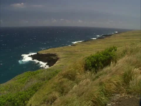 WIndy Ka'u Coastline with Grass Stock-Footage 22243157