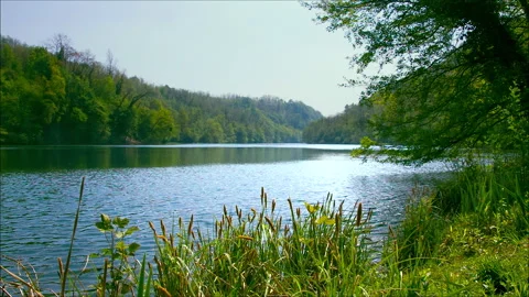 Windy Lake in a Gentle Breeze Stock Footage 252076546