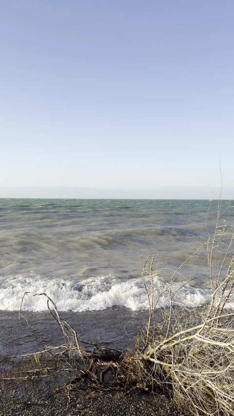 Windy Lake Shore with Breaking Waves and Driftwood on a Sunny Day Stock Footage 339572589