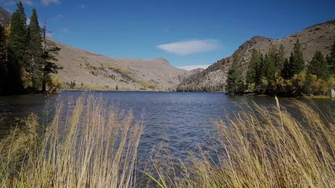 Windy Lake View Stock Footage 71812620