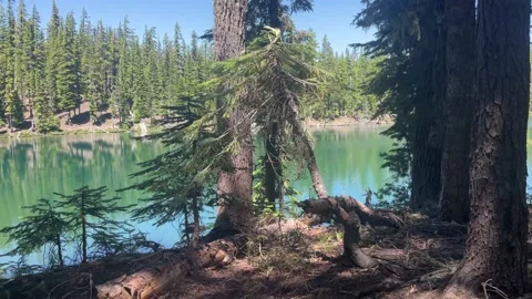 Windy Lakes Trail, Backpacking Oregon Video stock 221579773