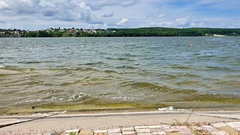 Windy Lakeshore with Gentle Waves Under a Dramatic Cloudy Sky Stock Footage 339047870