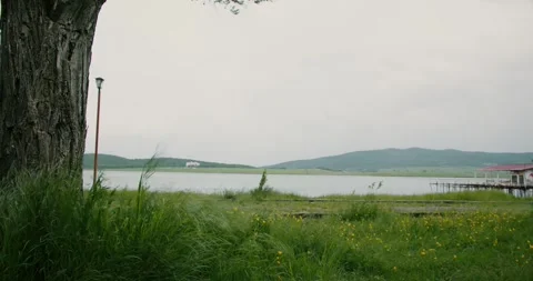 Windy Lakeside Stock Footage 263920819