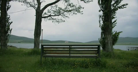 Windy Lakeside Stock Footage 263920976