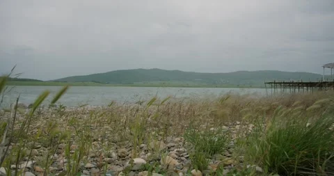 Windy Lakeside Stock Footage 263921393