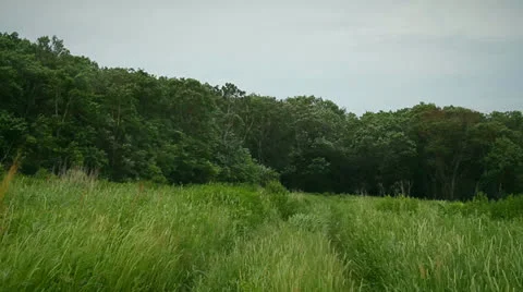 Windy landscape Stock Footage 25791426