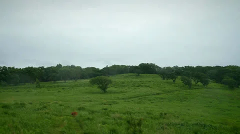 Windy landscape Stock Footage 25792139