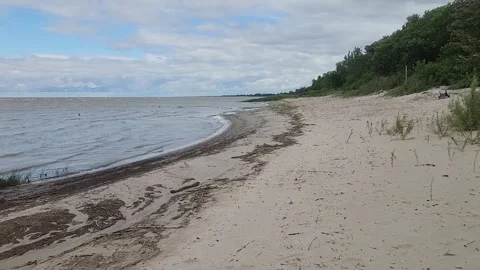 Windy Late Summer Day at Delta Beach, Lake Manitoba Stock Footage 315533467