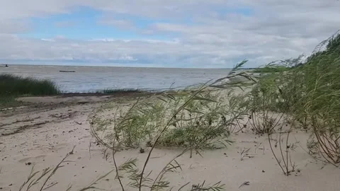 Windy Late Summer Day at Delta Beach, Lake Manitoba Stock Footage 315533468