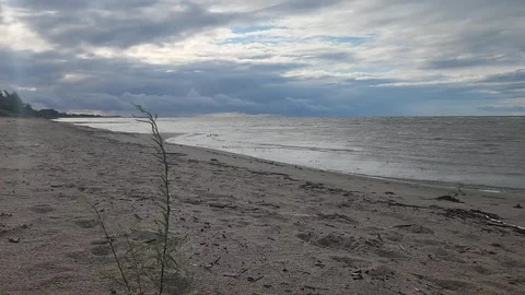 Windy Late Summer Day at Delta Beach, Lake Manitoba Stock Footage 315533469