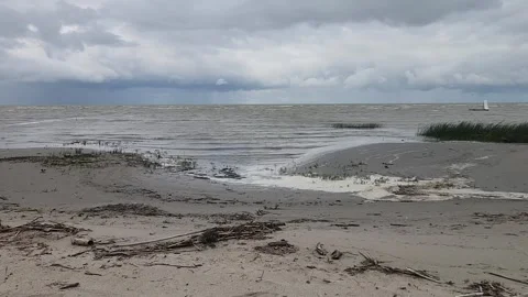 Windy Late Summer Day at Delta Beach, Lake Manitoba Stock Footage 315533470