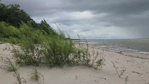Windy Late Summer Day at Delta Beach, Lake Manitoba Stock Footage 315533472