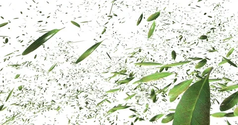 Windy leaves moving randomly on background. Stock Footage 140196498